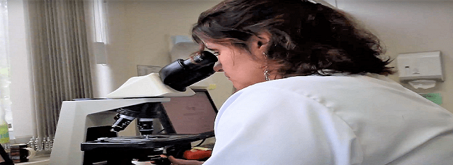 exames laboratoriais pet care 1 - Microbiologia