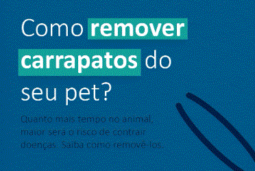 Como remover carrapatos do seu pet?