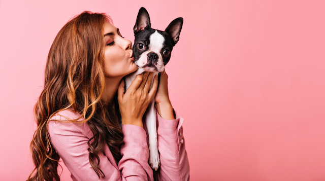 Outubro Rosa Pet: Tudo Sobre Câncer de Mama em Cachorros e Gatos