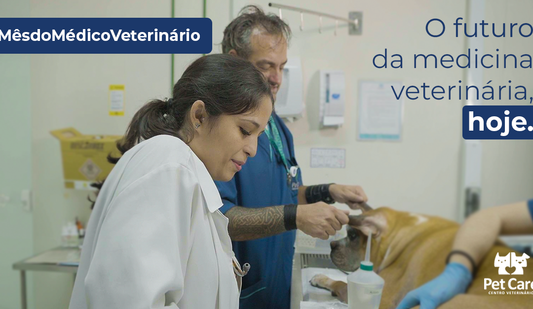 Quem são os médicos veterinários do Pet Care?