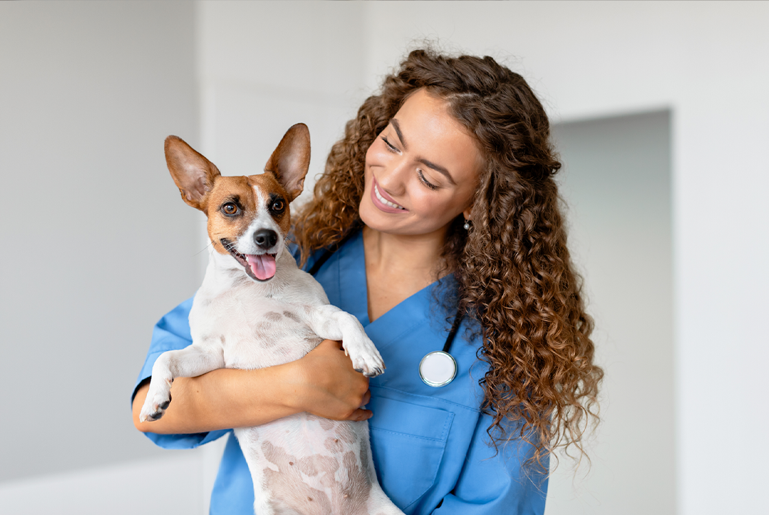 Veterinária usando jaleco azul sorri enquanto segura cadela durante consulta.