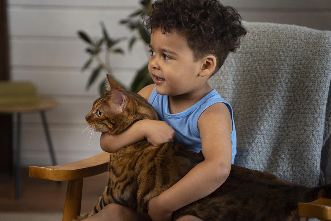 Criança pequena sentada em uma cadeira, sorrindo e abraçando um gato e com pelagem rajada, enquanto ambos olham na mesma direção.