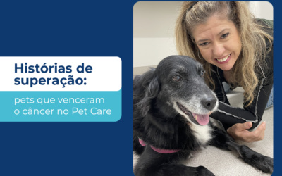 Histórias de superação: pets que venceram o câncer no Pet Care