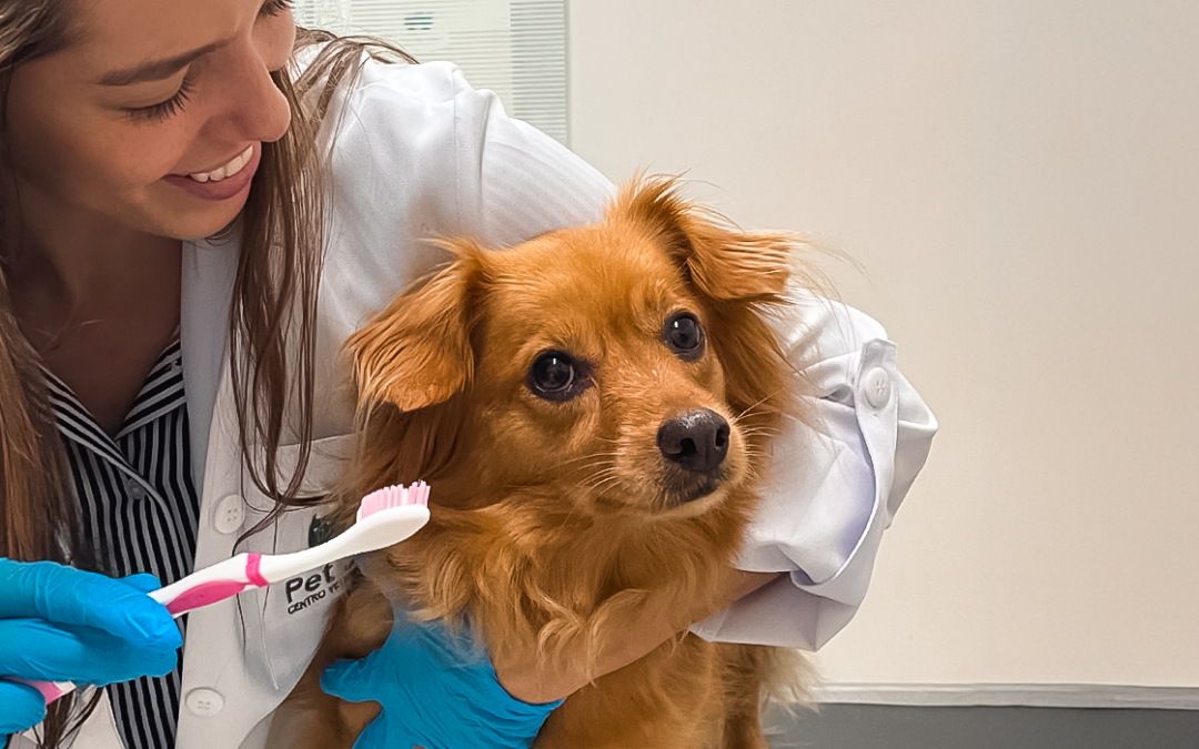 Escovar os dentes dos pets: um desafio possível em qualquer idade